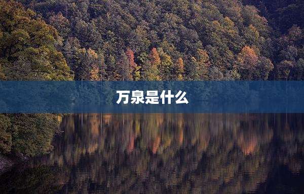 万泉是什么