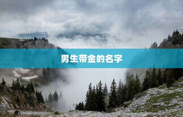 男生带金的名字