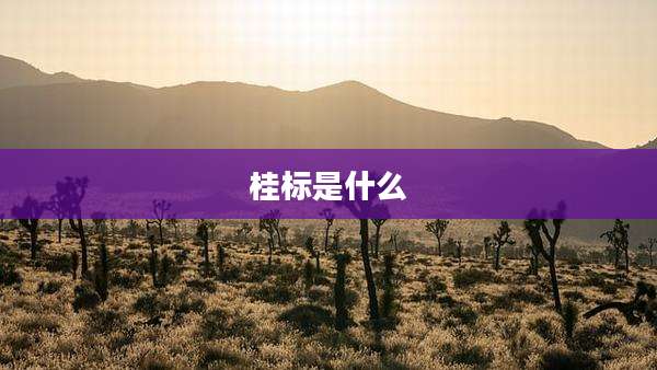 桂标是什么