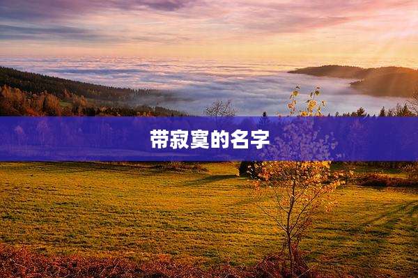 带寂寞的名字