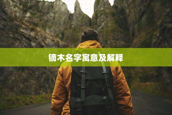 镝木名字寓意及解释