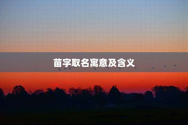 苗字取名寓意及含义