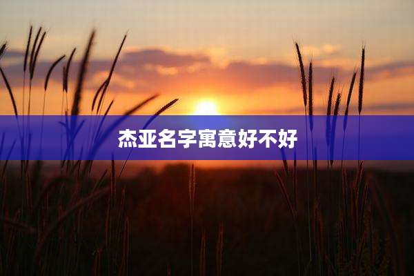 杰亚名字寓意好不好