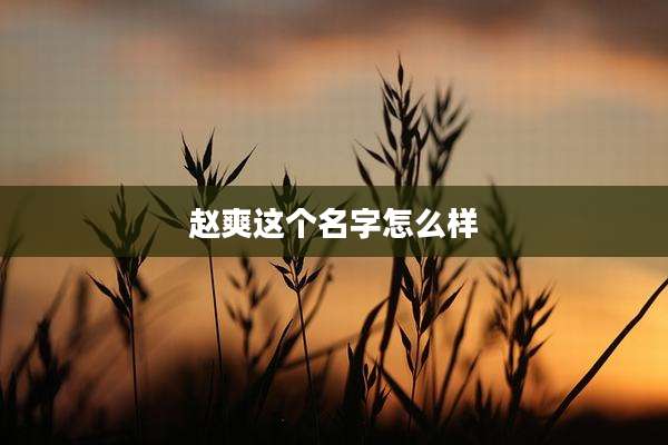 赵爽这个名字怎么样