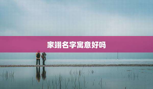 家翊名字寓意好吗