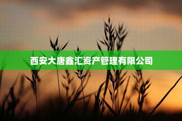 西安大唐鑫汇资产管理有限公司