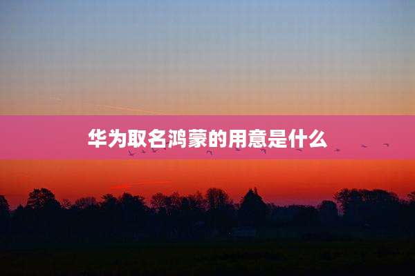 华为取名鸿蒙的用意是什么