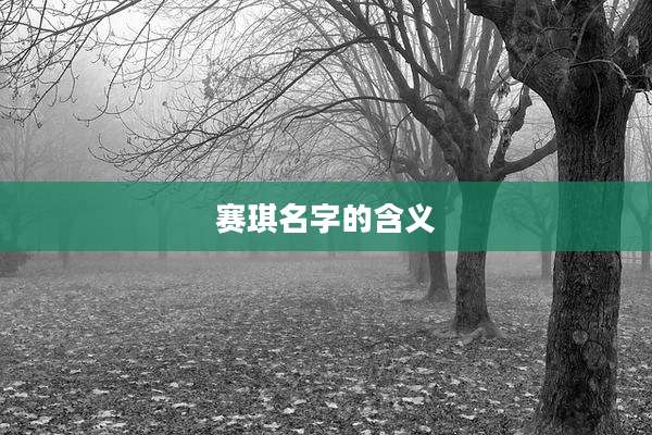 赛琪名字的含义