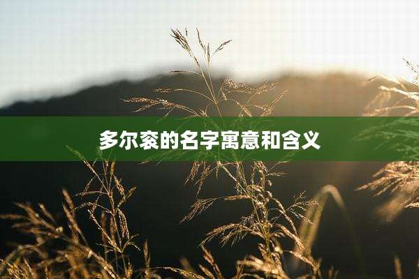 多尔衮的名字寓意和含义