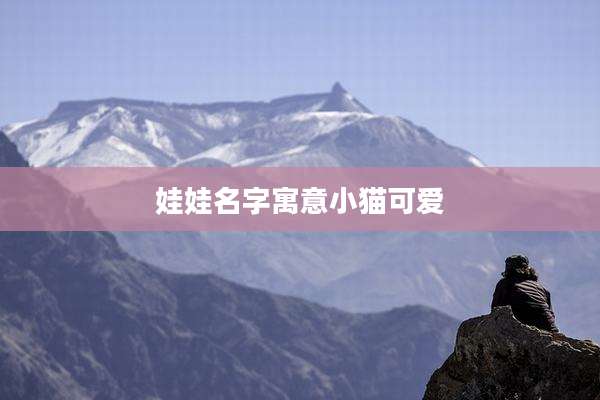 娃娃名字寓意小猫可爱