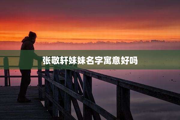 张敬轩妹妹名字寓意好吗