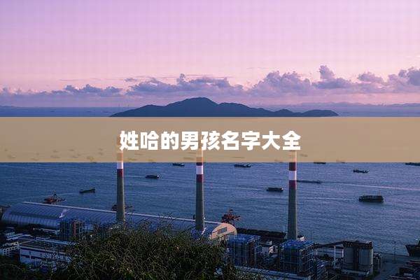 姓哈的男孩名字大全