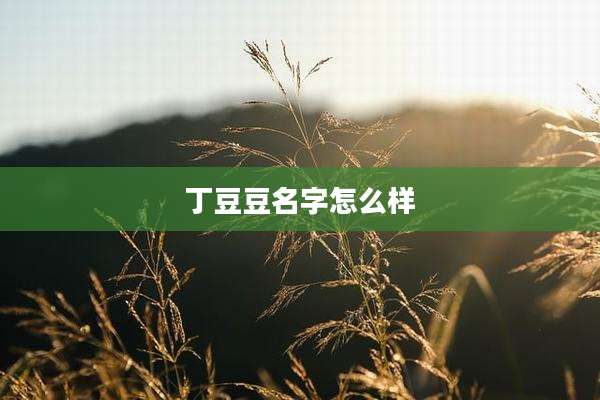丁豆豆名字怎么样