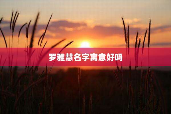 罗雅慧名字寓意好吗