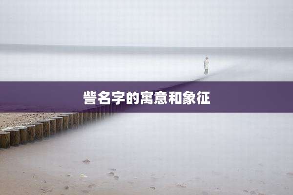 訾名字的寓意和象征
