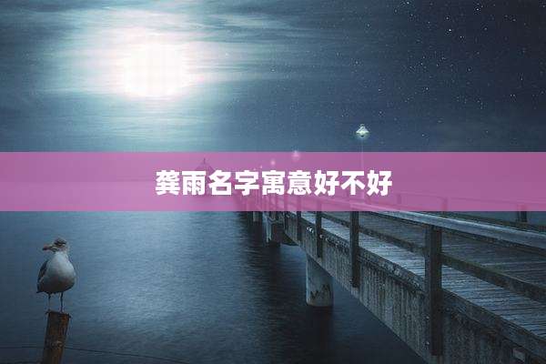 龚雨名字寓意好不好