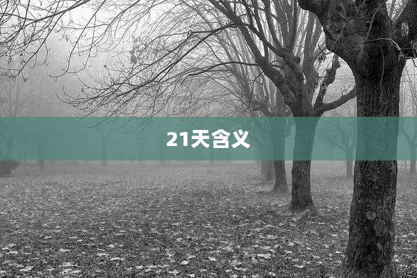 21天含义