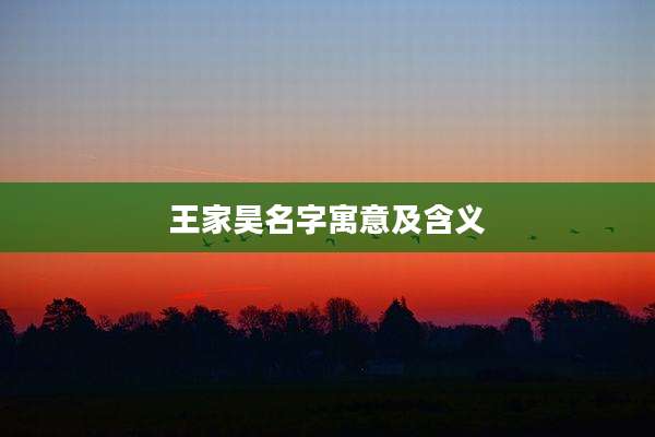 王家昊名字寓意及含义