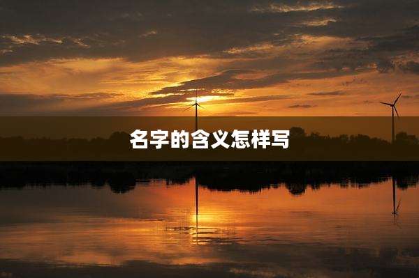 名字的含义怎样写