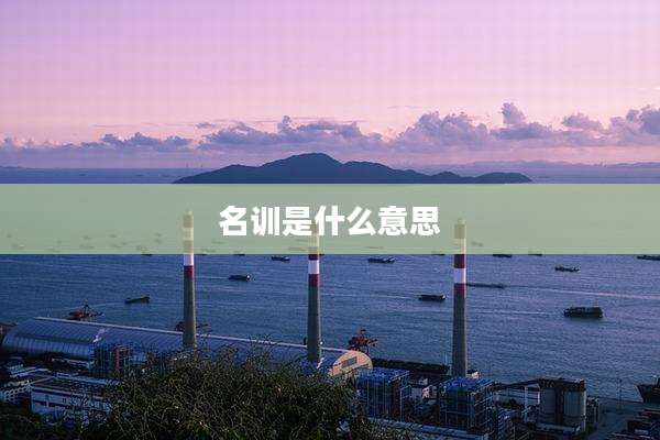 名训是什么意思