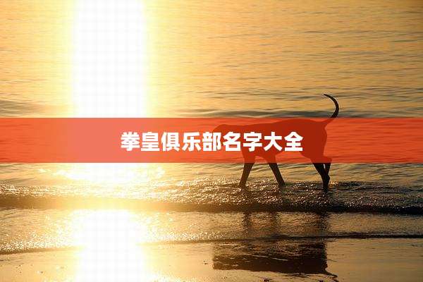 拳皇俱乐部名字大全