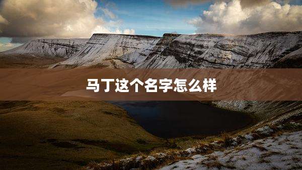 马丁这个名字怎么样