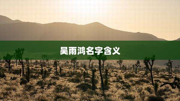 吴雨鸿名字含义