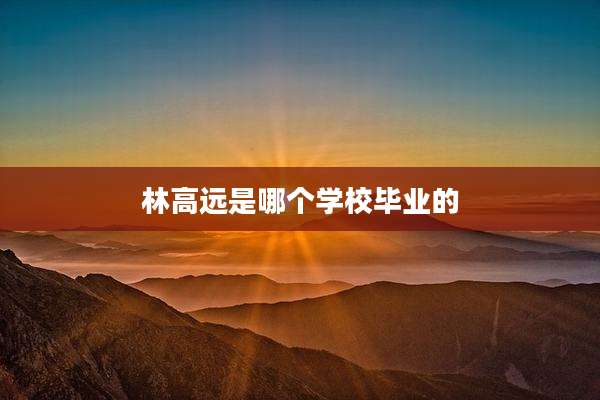 林高远是哪个学校毕业的