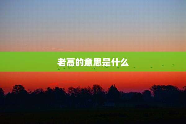 老高的意思是什么
