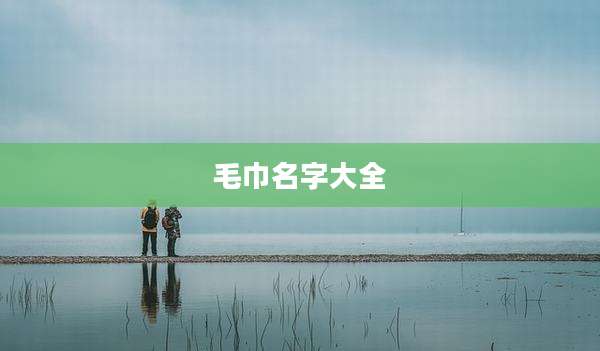 毛巾名字大全