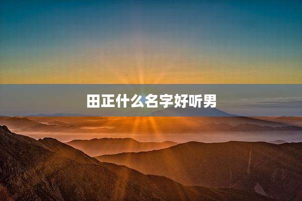 田正什么名字好听男
