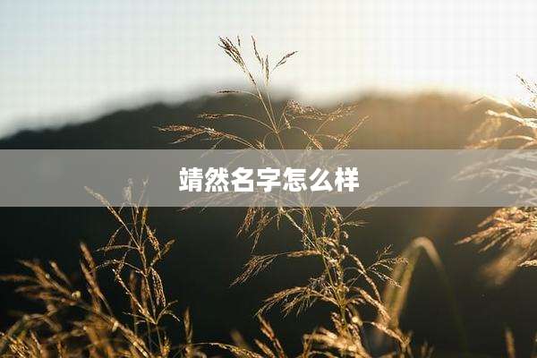 靖然名字怎么样