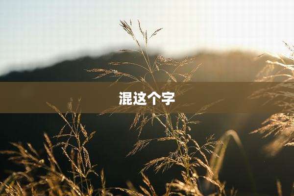 混这个字