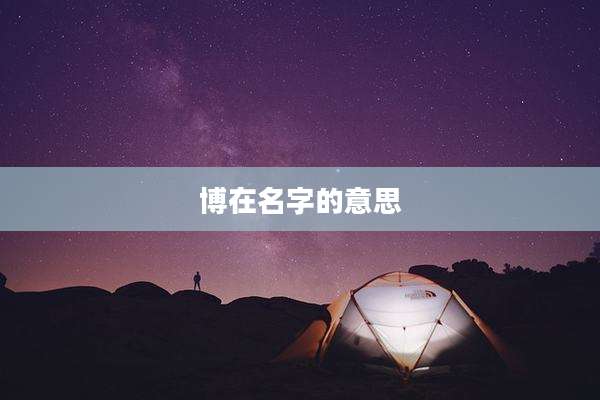 博在名字的意思