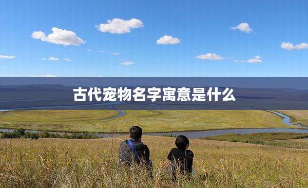 古代宠物名字寓意是什么