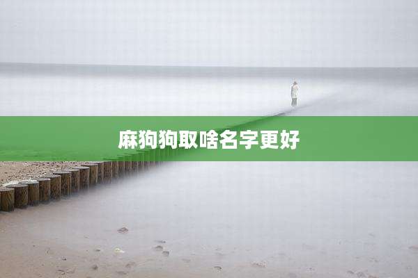 麻狗狗取啥名字更好