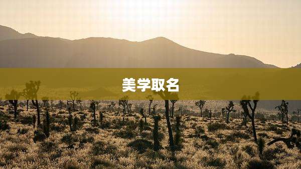 美学取名