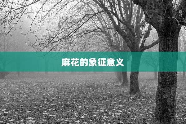 麻花的象征意义