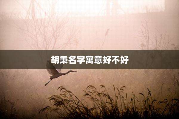 胡秉名字寓意好不好
