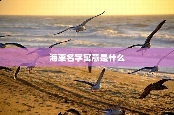 海粟名字寓意是什么