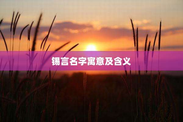 锡言名字寓意及含义