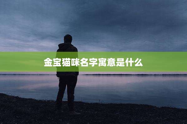 金宝猫咪名字寓意是什么