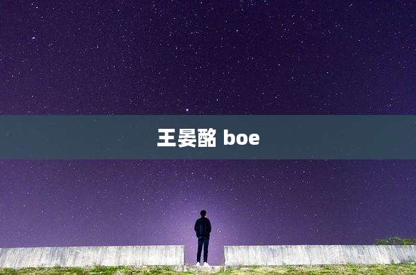 王晏酩 boe
