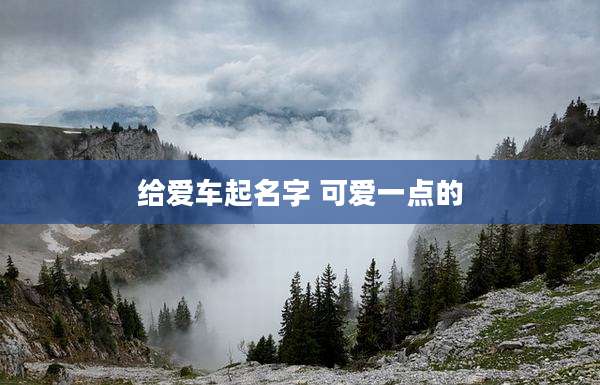 给爱车起名字 可爱一点的