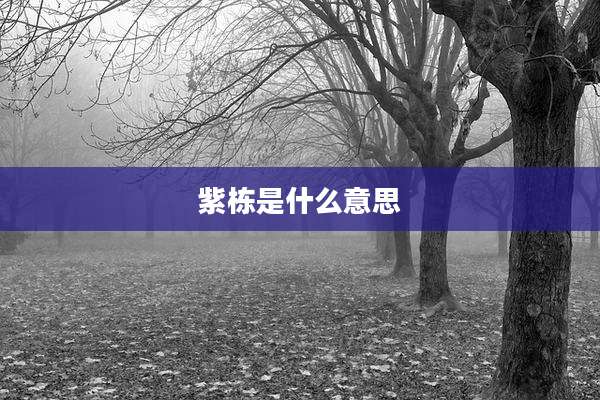 紫栋是什么意思