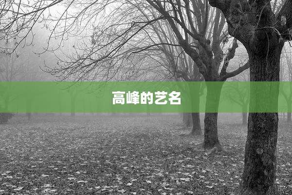 高峰的艺名