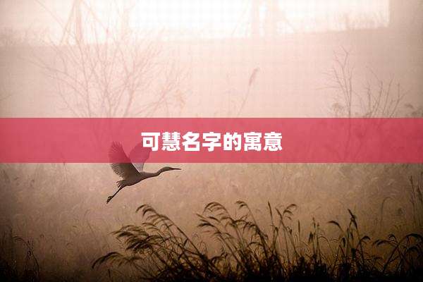 可慧名字的寓意