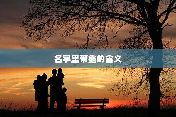 名字里带鑫的含义