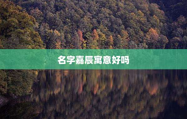 名字嘉辰寓意好吗