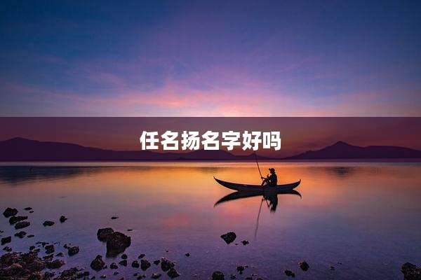 任名扬名字好吗